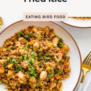 A bowl of chicken fried rice topped with chopped green onions on a white plate with a gold fork beside it, with text above reading “Healthy Chicken Fried Rice.”