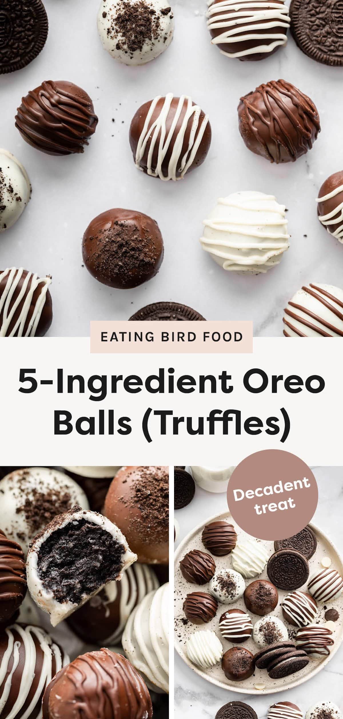 Easy Oreo Balls Recipe (No Bake + 5 Ingredients) - Eating Bird Food