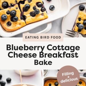 Top-left photo: Overhead view of a baked blueberry cottage cheese breakfast bake cut into squares in a white baking dish. Top-right photo: A plated slice of blueberry breakfast bake with a fork and fresh blueberries on the side. Bottom-left photo: Close-up of a slice of blueberry breakfast bake on a plate with syrup being drizzled over the top. Bottom-right photo: Overhead view of the full blueberry cottage cheese bake with one square being lifted out on a spatula.