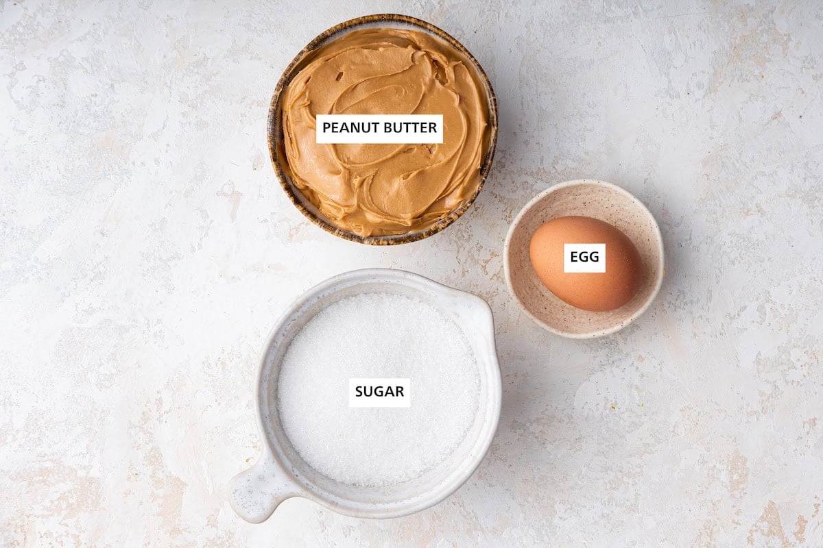 Ingredients measured out to make 3 Ingredient Peanut Butter Cookies: sugar, peanut butter and egg.