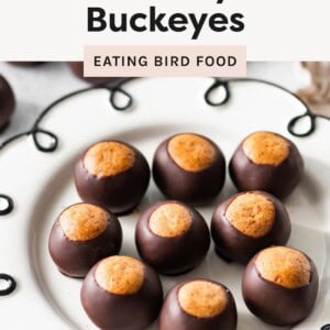 High-protein buckeye treats dipped in dark chocolate and arranged on a white serving plate