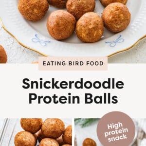 Cinnamon sugar–coated snickerdoodle protein balls arranged on a white plate. Snickerdoodle protein balls packed closely in a glass storage container, viewed from above. Snickerdoodle protein balls stacked on a plate with one bitten open, surrounded by cinnamon sticks.