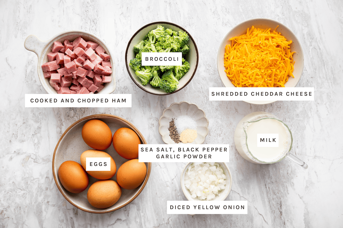 Cooked and chopped ham, broccoli, shredded cheddar cheese, eggs, milk, diced yellow onion, sea salt, black pepper, garlic powder