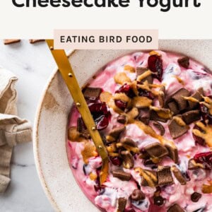 Bowl of cherry cheesecake yogurt topped with chocolate cereal, cherries, and almond butter with a gold spoon.