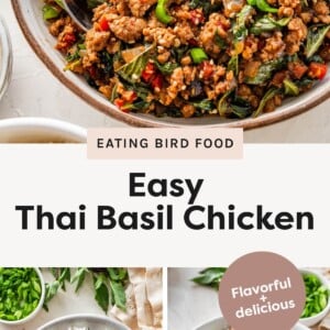 Photo 1: Close-up of Thai basil chicken with minced chicken, basil, chilies, and green onions in a bowl. Photo 2: Thai basil chicken served over white rice, garnished with green onions. Photo 3: Thai basil chicken over rice topped with a crispy fried egg and scallions.