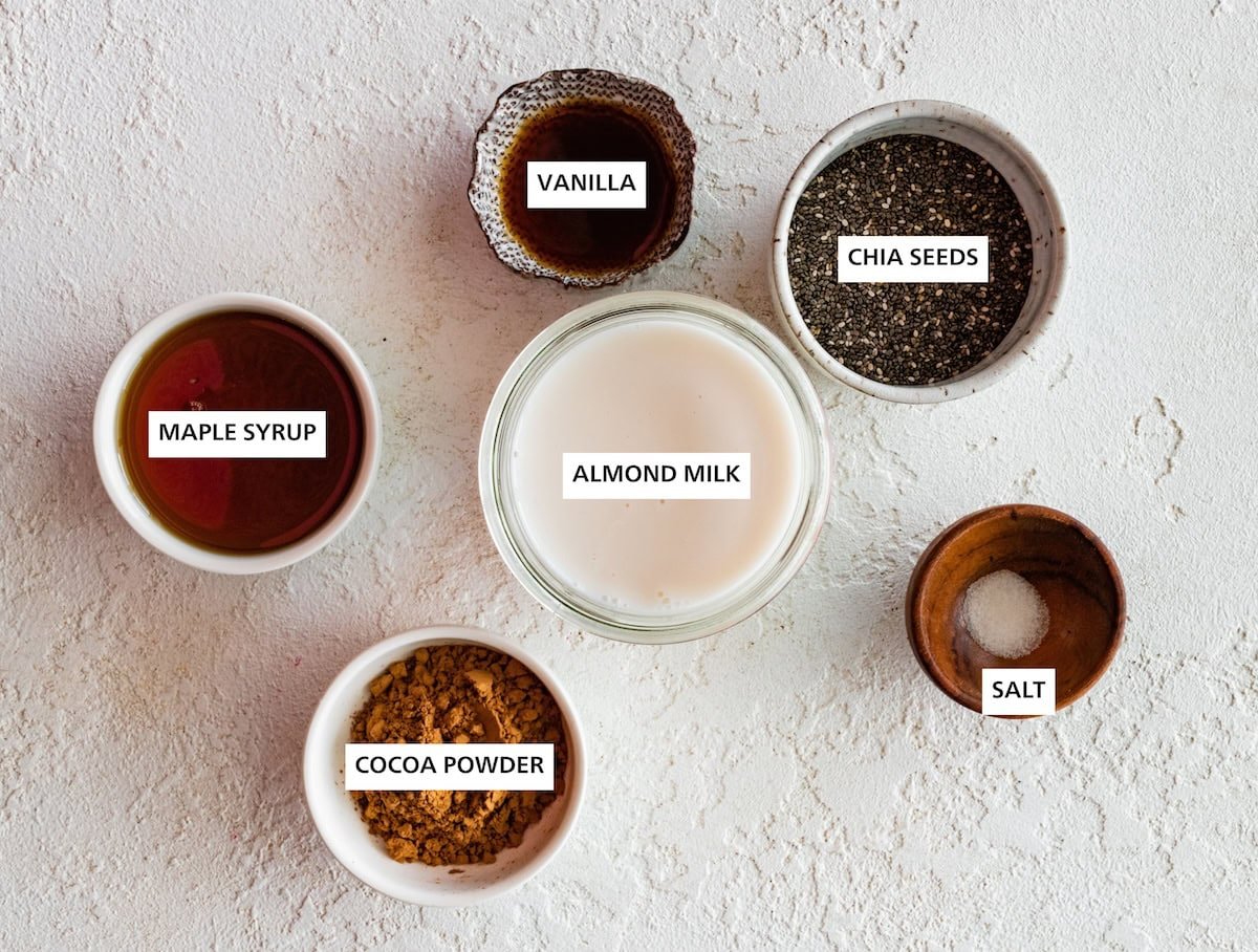 Ingredients measured out to make Chocolate Chia Pudding: chia seeds, salt, almond milk, vanilla, cocoa powder and maple syrup.