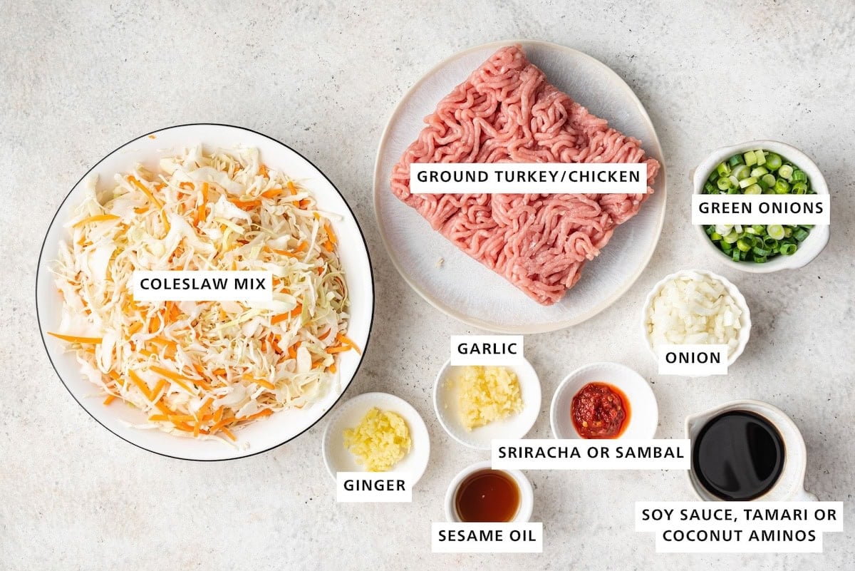 Ingredients measured out to make an Egg Roll in a Bowl: coleslaw mix, ginger, garlic, sesame oil, sambal oelek, ground turkey, onion, coconut aminos and green onions.
