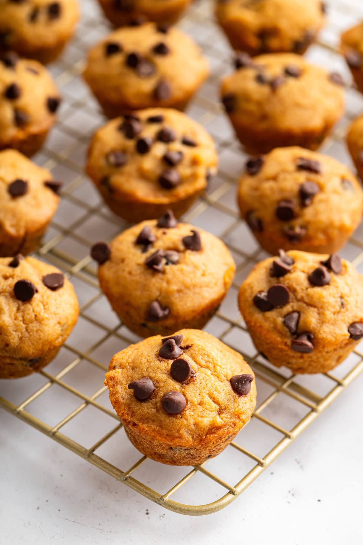 Chocolate chip mini muffins spread across a cooling rack.