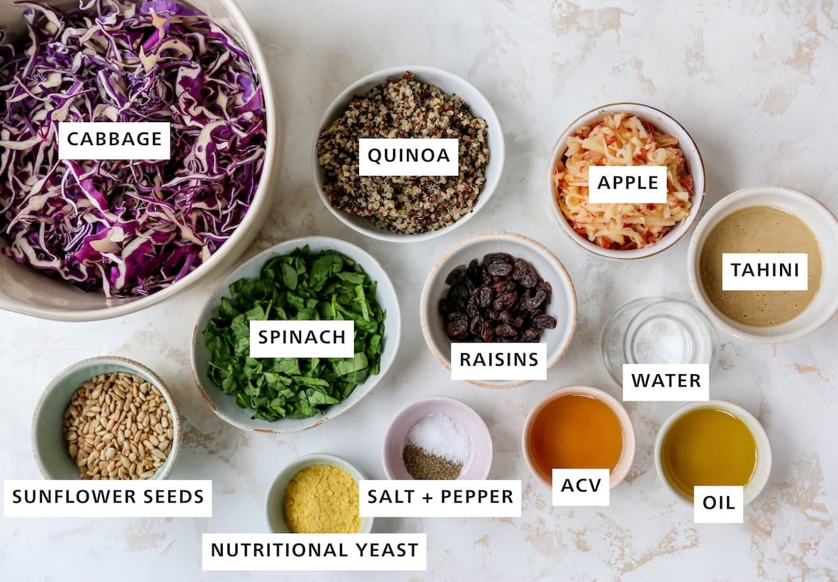 Ingredients measured out for apple slaw: cabbage, quinoa, apple, tahini, water, oil, apple cider vinegar, salt, pepper, raisins, spinach, nutrtional yeast, and sunflower seeds.