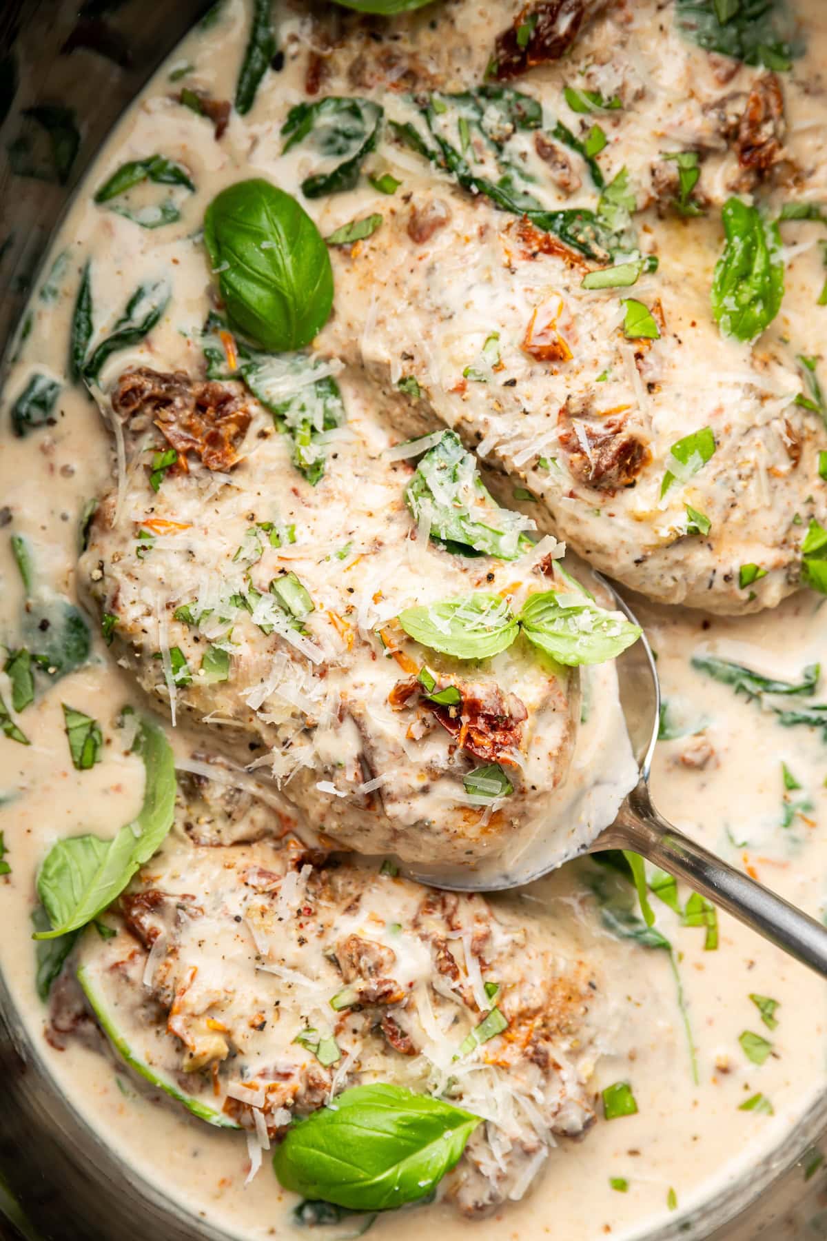 Close-up of a chicken breast on a serving spoon with creamy sauce, sun-dried tomatoes and basil.