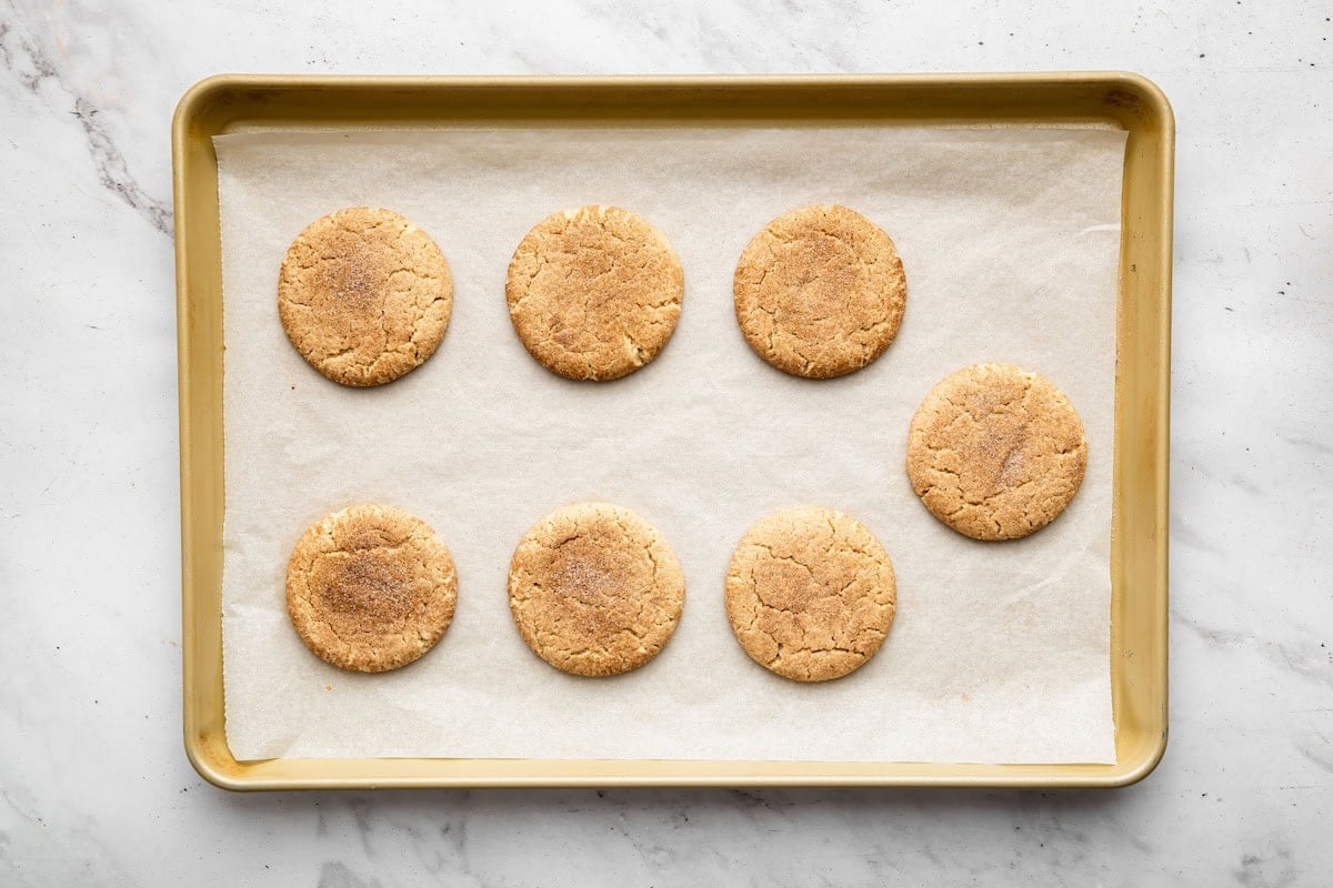 Flattened cinnamon sugar cookie dough rounds on a parchment-lined baking sheet.